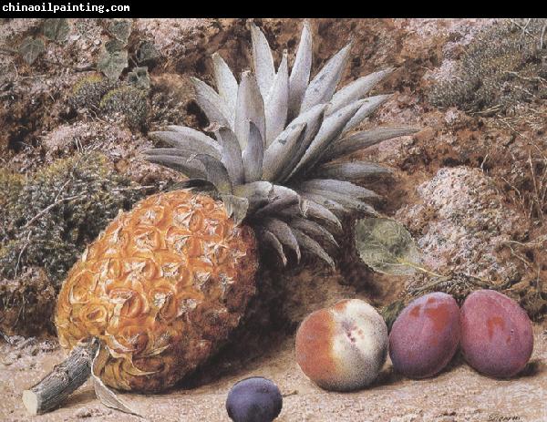 John Sherrin A Pineapple,a Peach and Plums on a mossy Bank (mk37)