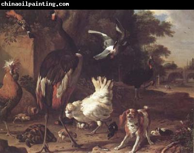 Melchior de Hondecoeter Birds and a Spaniel in a Garden (mk25)