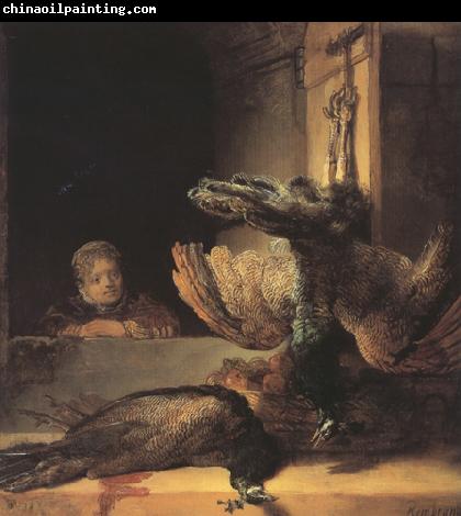 REMBRANDT Harmenszoon van Rijn Still life with two dead Peacocks and a Girl (mk33)