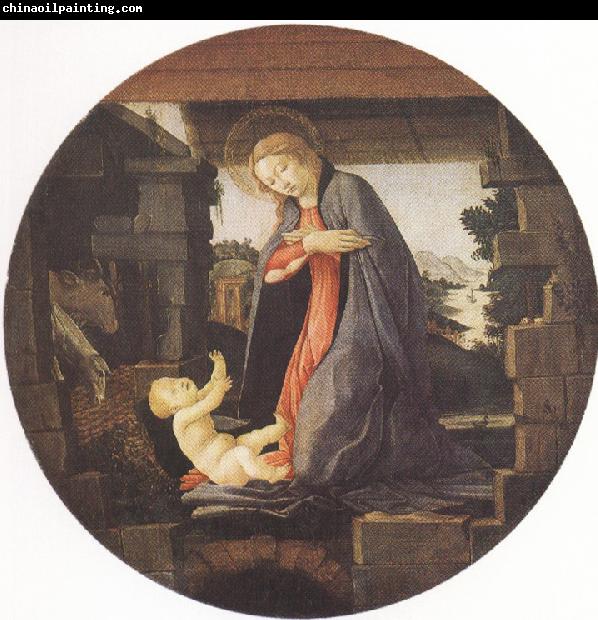 Sandro Botticelli Madonna in Adoration of the Christ Child (mk36)