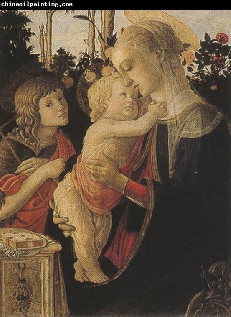 Sandro Botticelli Madonna of the Rose Garden or Madonna and Child with St john the Baptist (mk36)