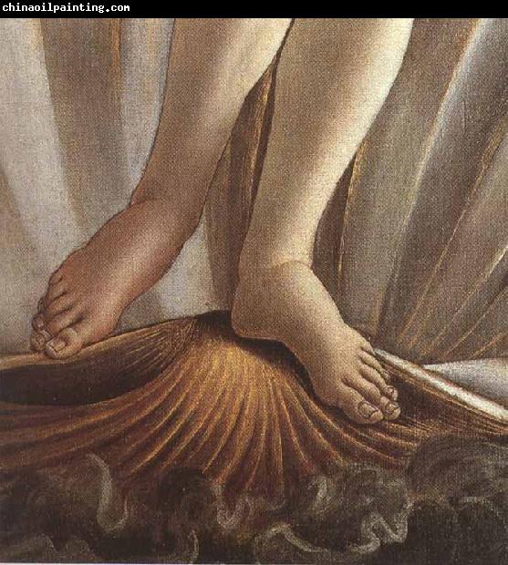 Sandro Botticelli The Birth of Venus (mk36)