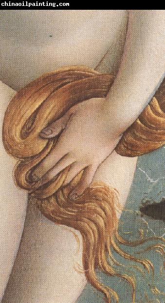 Sandro Botticelli The Birth of Venus (mk36)