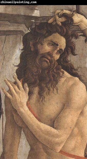 Sandro Botticelli Details of Pallas and the Centaur (mk36)