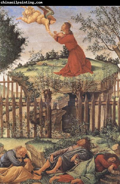 Sandro Botticelli prayer in the Garden (mk36)