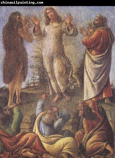 Sandro Botticelli Transfiguration,wtih St jerome and St Augustine (mk36)