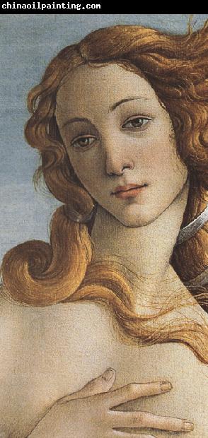 Sandro Botticelli The Birth of Venus (mk36)