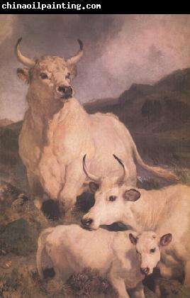 Sir Edwin Landseer Wild Cattle at Chillingham (nn03)