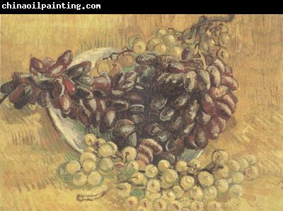 Vincent Van Gogh Still life wtih Grapes (nn04)