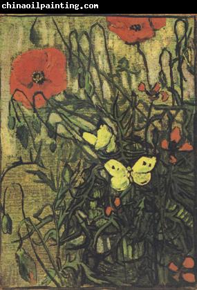 Vincent Van Gogh Poppies and Butterflies (nn04)