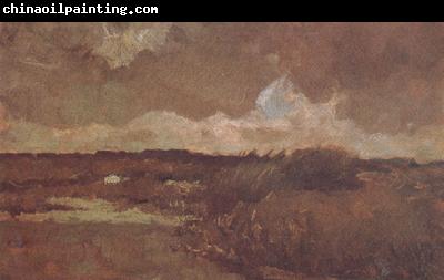 Vincent Van Gogh Marshy Landscape (nn04)