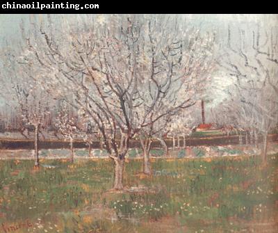 Vincent Van Gogh Orchard in Blossom (nn04)