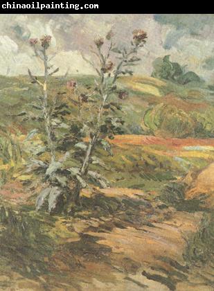 Vincent Van Gogh Two Thistles (nn04)