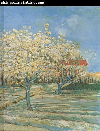 Vincent Van Gogh Orchard in Blossom (nn04)