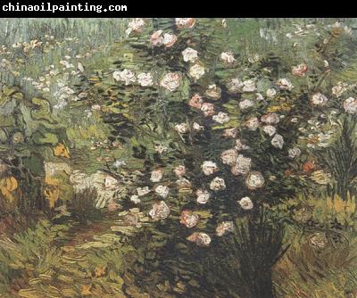 Vincent Van Gogh Rosebush in Blossom (nn04)