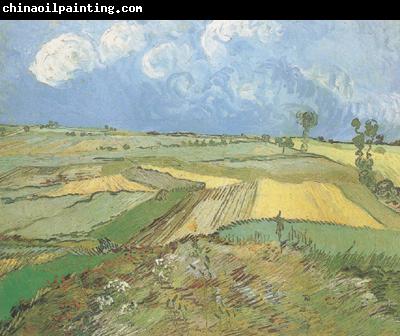 Vincent Van Gogh Wheat Fields at Auvers under Clouded Sky (nn04)