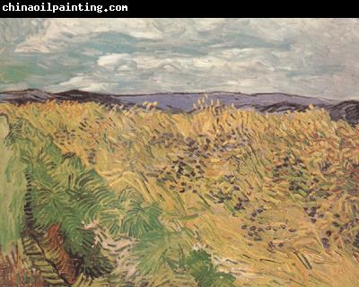 Vincent Van Gogh Whear Field with Cornflowers (nn04)