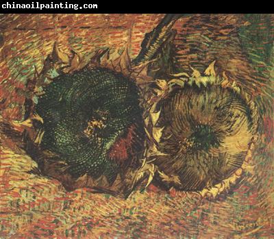 Vincent Van Gogh Two Cut Sunflowers (nn04)