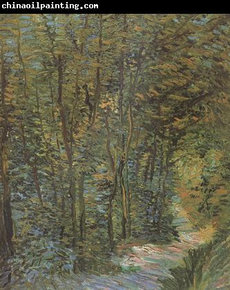 Vincent Van Gogh Path in the Woods (nn04)