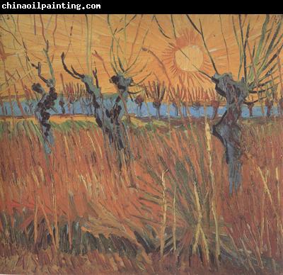 Vincent Van Gogh Willows at Sunset (nn04)