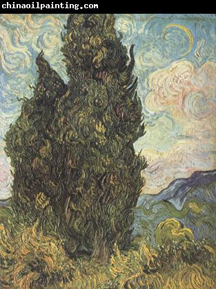 Vincent Van Gogh Cypresses (nn04)