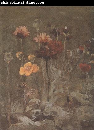 Vincent Van Gogh Still life with Scabiosa and Ranunculus (nn04)