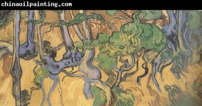 Vincent Van Gogh Tree Root and Trunks (nn04)