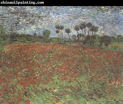 Vincent Van Gogh Field with Poppies (nn04)