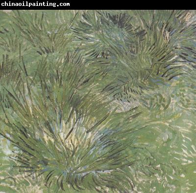 Vincent Van Gogh Clumps of Grass (nn04)