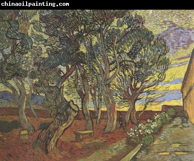 Vincent Van Gogh The Garden of Saint-Paul Hospital (nn04)