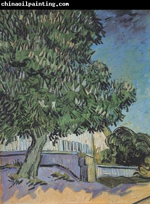 Vincent Van Gogh Chestnut Tree in Blossom (nn04)