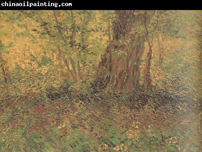 Vincent Van Gogh Undergrowth (nn04)