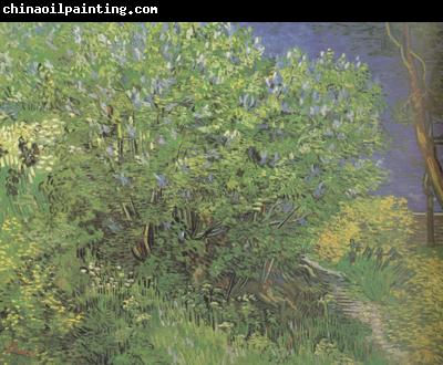 Vincent Van Gogh Lilacs (nn04)