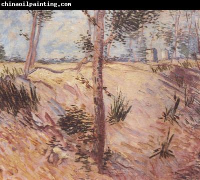 Vincent Van Gogh Trees in a Field on a Sunny Day (nn04)