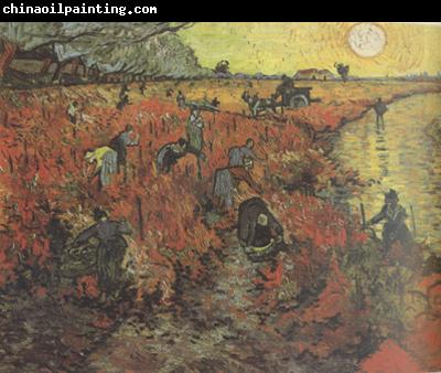 Vincent Van Gogh The Red Vineyard (nn04)