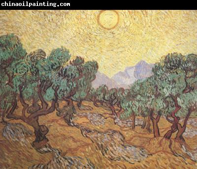 Vincent Van Gogh Olive Trees with Yellow Sky and Sun (nn04)