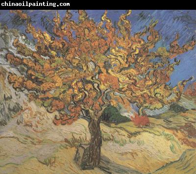 Vincent Van Gogh The Mulberry Tree (nn04)