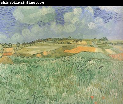 Vincent Van Gogh Plain near Auvers (nn04)