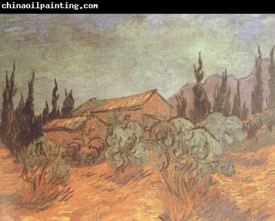 Vincent Van Gogh Wooden Sheds (nn04)