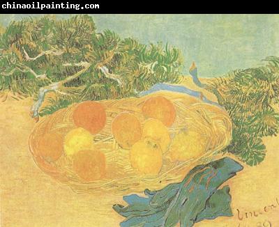 Vincent Van Gogh Still life:Oranges,Lomons and Blue Gloves (nn04)