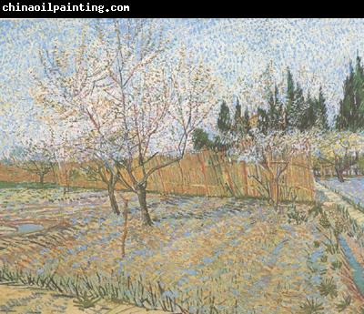 Vincent Van Gogh Orchard with Peach Trees in Blossom (nn04)