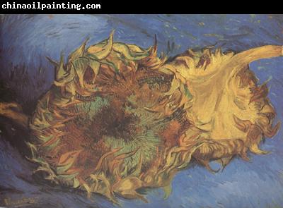 Vincent Van Gogh Two Cut Sunflowers (nn04)