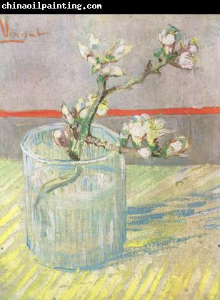 Vincent Van Gogh Blossoming Almond Branch in a Glass (nn04)