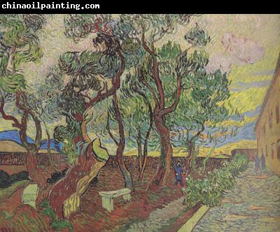 Vincent Van Gogh The Garden of Saint-Paul Hospital (nn04)