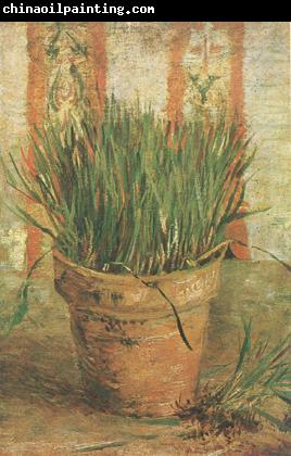 Vincent Van Gogh Flowerpot with Chives (nn04)