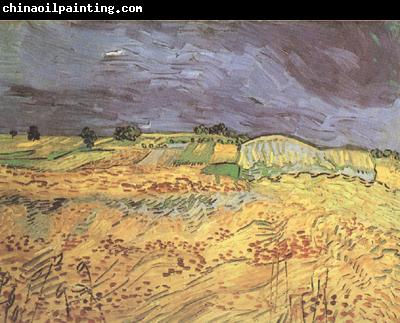 Vincent Van Gogh The Fields (nn04)