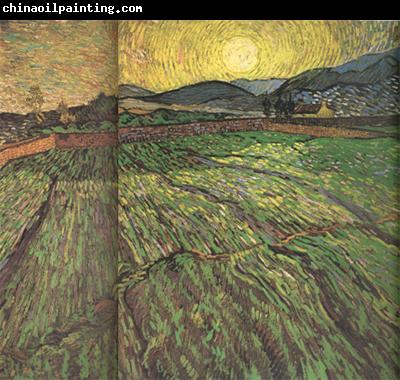 Vincent Van Gogh Enclosed Field with Risihng Sun (nn04)