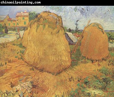 Vincent Van Gogh Haystacks in Provence (nn04)