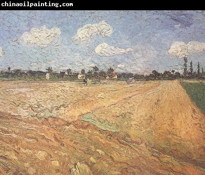 Vincent Van Gogh Ploughed Field (nn04)