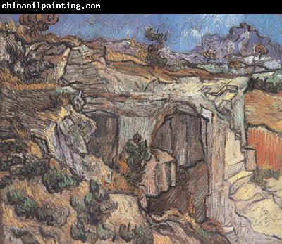 Vincent Van Gogh Entrance to a Quarry near Saint-Remy (nn04)